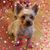 Alison Watt's profile image