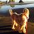 Karyn Dagenais's profile image
