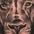 Daniel Andree's profile image