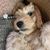 Debra Fox Scholtz's profile image