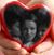 Cecilia Rodriguez's profile image