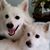 Sharon King Bailey's profile image