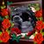 Abella Avery Joseph's profile image