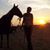 Mindy Lee Lawley's profile image