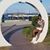 Yvette Harris's profile image