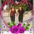Kathy Hall Kiernan's profile image