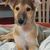 Pam Kilby's profile image