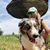 Jenn Greiner's profile image