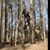Felix Sicard's profile image