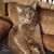 Gloria Duncan Hubbard's profile image