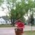 James Rheaume Jr.'s profile image