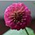 Cat Hundley's profile image