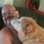 Guy Moulton's profile image
