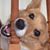 Stacy Lynskey's profile image