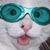 Nancy Harris's profile image
