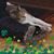 Starr Corbit's profile image