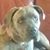 Cyndee Ostermeier's profile image