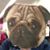 Michael Brody's profile image