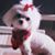 Anthony Durante's profile image
