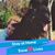 Kim M Casano Ware's profile image