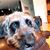 Nancy Freeman Mikkelsen's profile image