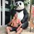 Jonn Cua's profile image