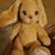 Jennifer Gorman's profile image
