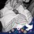 Penny Birtwistle Gilson's profile image