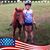 Pam George's profile image