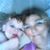 Chirel Gattis's profile image