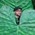 Paul J. Comeau's profile image
