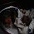 Jannie Byrns's profile image