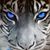 Dave Adams's profile image