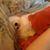 Amy Bruce's profile image