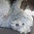 Ernesto Quezada Valdez's profile image