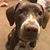 Melissa Mankel Brinza's profile image