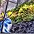 Joyce Kreutzberg's profile image