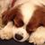 John Kolb's profile image