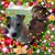 Deborah Boggs's profile image
