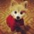 Stacie Reed's profile image