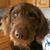Jason Ulitsch's profile image