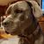 Jeff Blose's profile image