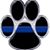 Cindy Pruitt's profile image