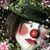 Elaine Long Corrigan's profile image