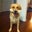 Joel Laugharn's profile image