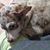 Dee Stoudemayer's profile image