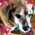 Heather Moore Kelling's profile image