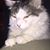 Emily Espinoza's profile image