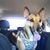 Stephanie Gentile's profile image