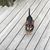 Pam Dorris's profile image